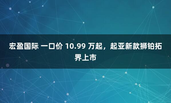 宏盈国际 一口价 10.99 万起，起亚新款狮铂拓界上市