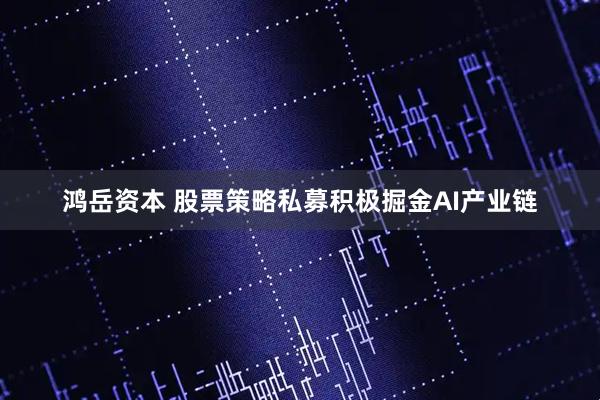 鸿岳资本 股票策略私募积极掘金AI产业链