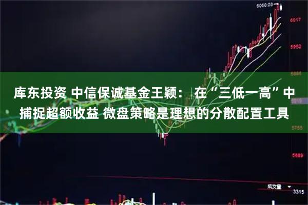 库东投资 中信保诚基金王颖: 在“三低一高”中捕捉超额收益 微盘策略是理想的分散配置工具