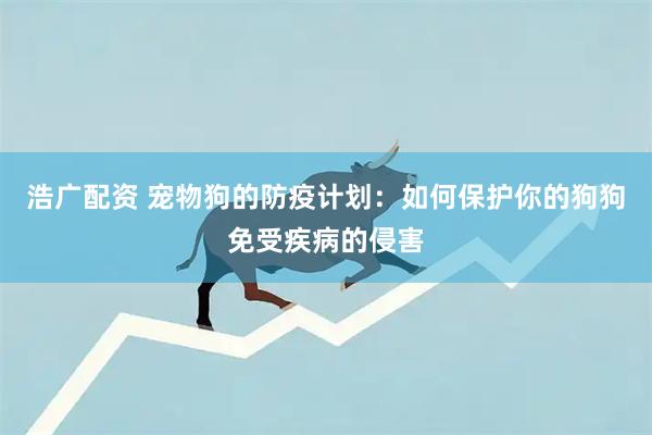 浩广配资 宠物狗的防疫计划：如何保护你的狗狗免受疾病的侵害